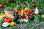 The Importance of Consuming Seasonal Foods - September Foods